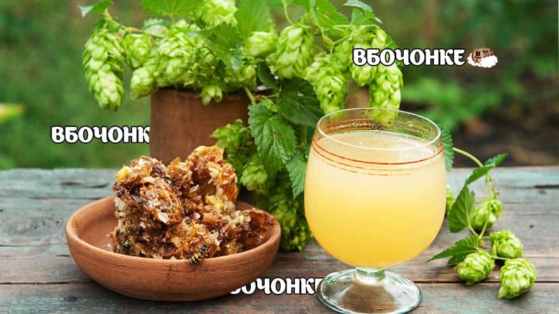 Простой рецепт домашней медовухи